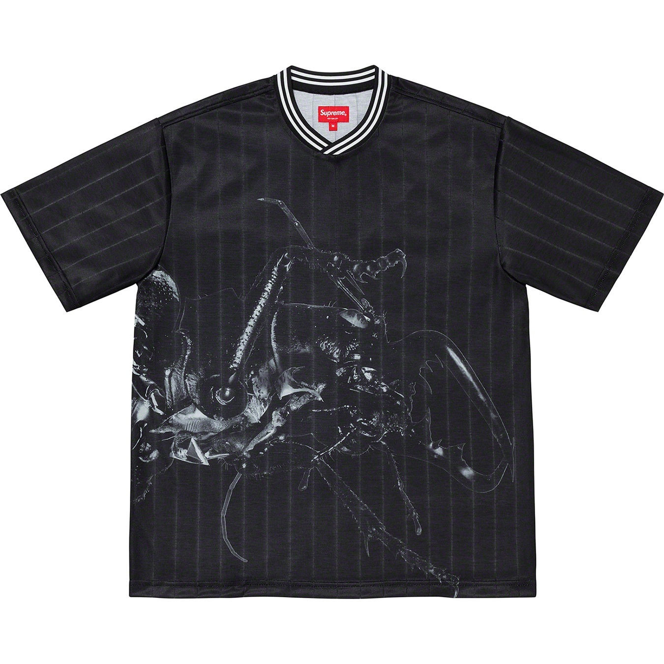 Beetle Soccer Top view 10